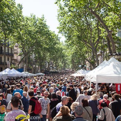 sant-jordi-barcelona-4085